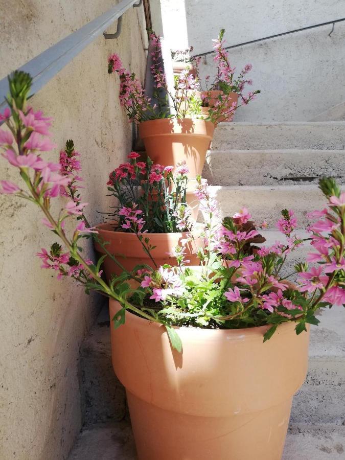 La Terrasse Villa Gignac  Kültér fotó